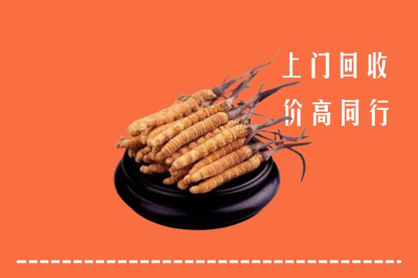 十堰高价冬虫夏草回收多少钱每克