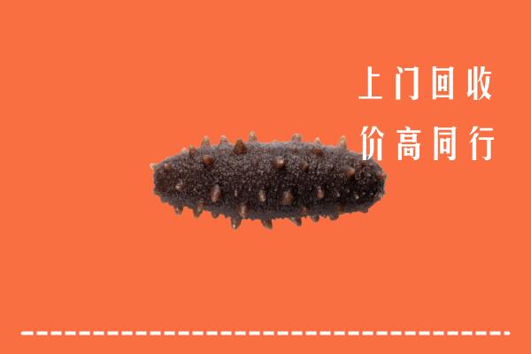 十堰高价回收海参